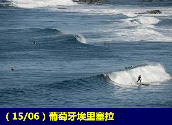 「蒲公英花最佳的晒干方法」知识星球平台,系统性解读蒲公英花最佳的晒干方法的全面指南